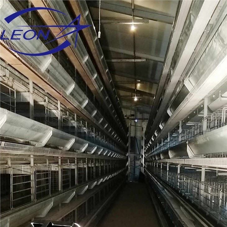 Automatic Feeding Line And Drinking Line in Cage