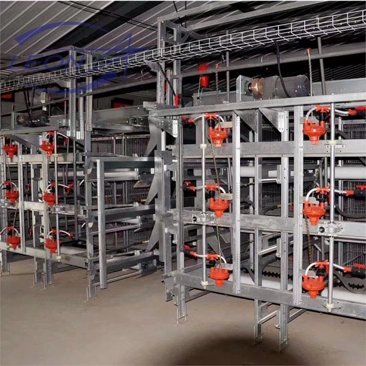 Chicken Egg Layer Cages
