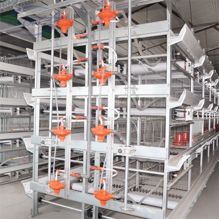 High-density H-Type Layer Cage High-density H-Type Layer Cage