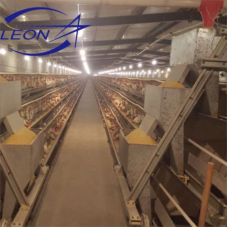 Hot Sale Baromfi Farm Tojótyúkok Használt réteg akkumulátor Csirke Cage