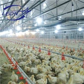 Broiler padlórendszer
