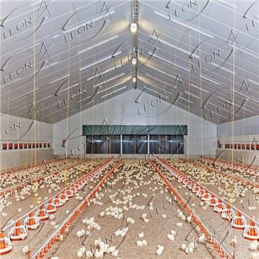 Teljesen automatikus baromfifarm brojlerberendezés ára CE tanúsítvánnyal