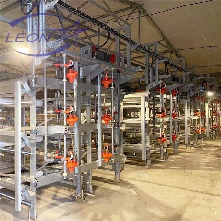 The Latest H Type Layer Cage System in 2021