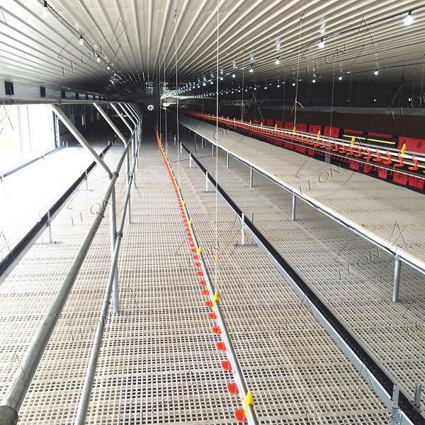 Chicken broiler poultry farm equipment plastic slat flooring