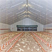 Teljesen automata baromfifarm brojler berendezés ára CE tanúsítvánnyal