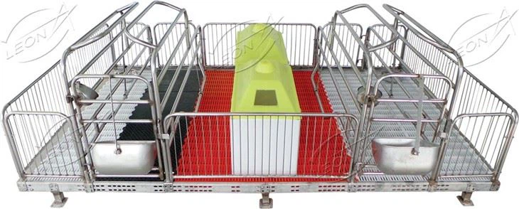 pig double sow farrowing crate